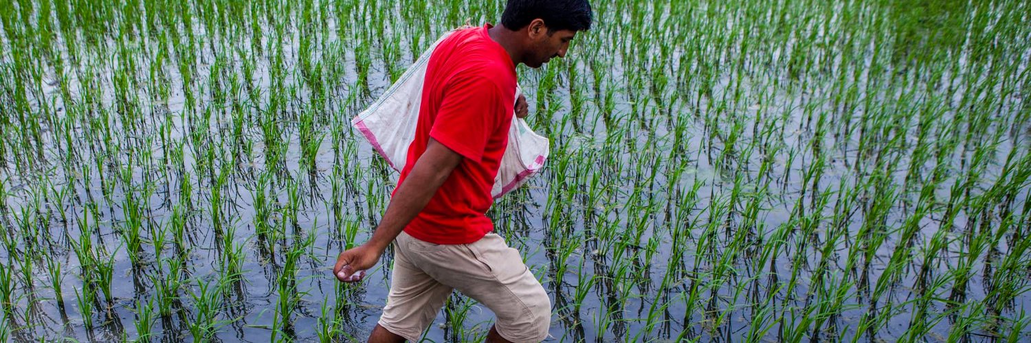 CGIAR Climate Action's banner