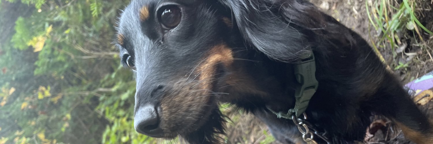cruvv's profile banner image