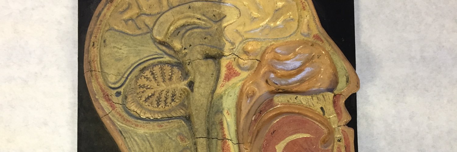 NaGerdes's profile banner image