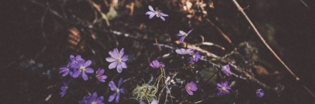 marthazelayaa's profile banner image
