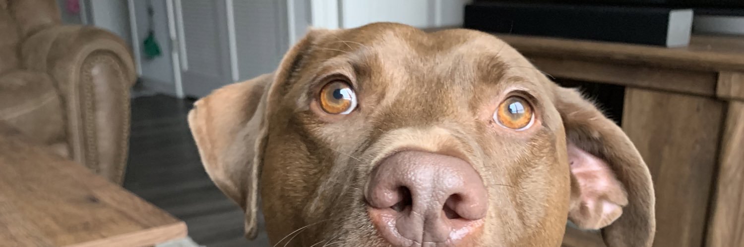 jordan_renae's profile banner image