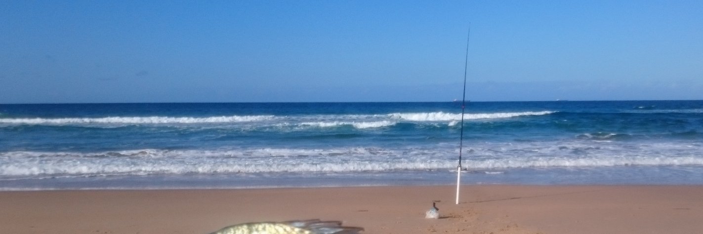 Steve Mitchell banner