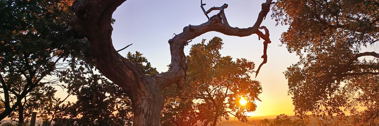 antoniolista's profile banner image
