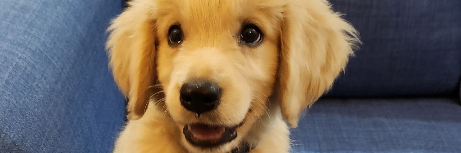 That pet lover banner