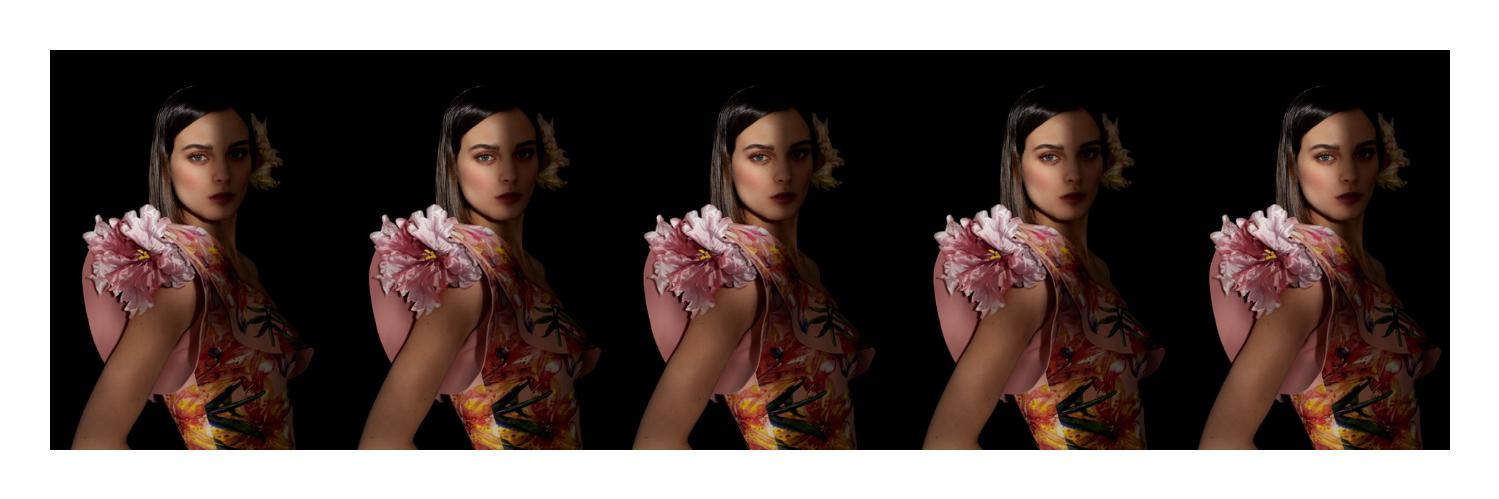 LaPetiteRobeMi's profile banner image