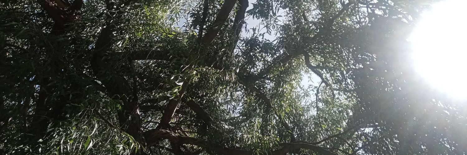 busien's profile banner image