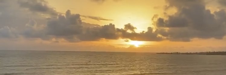 MokshadaShah's profile banner image