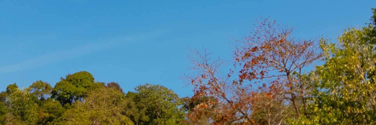 Anggiiieeeeeee's profile banner image
