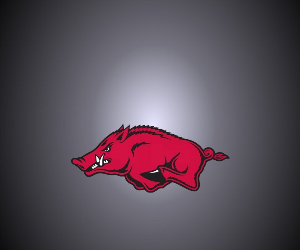 tjclark01's profile banner image