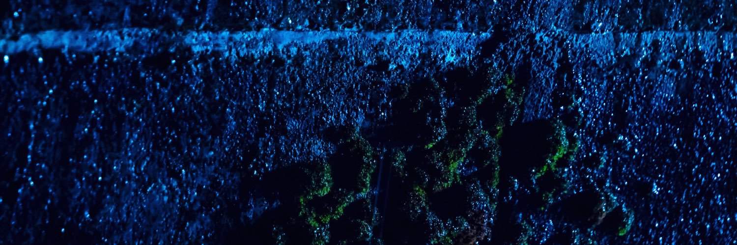 7s_studio's profile banner image