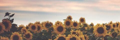 WilsonAim's profile banner image