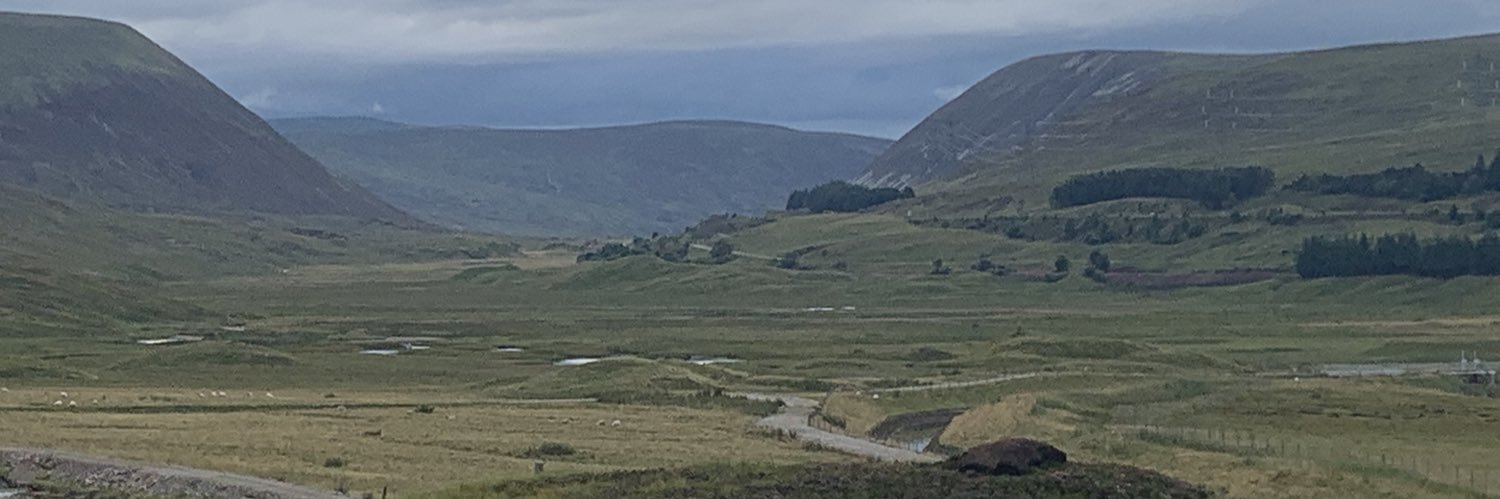 GuyHorner's profile banner image