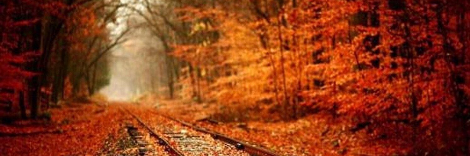 aprina_23's profile banner image