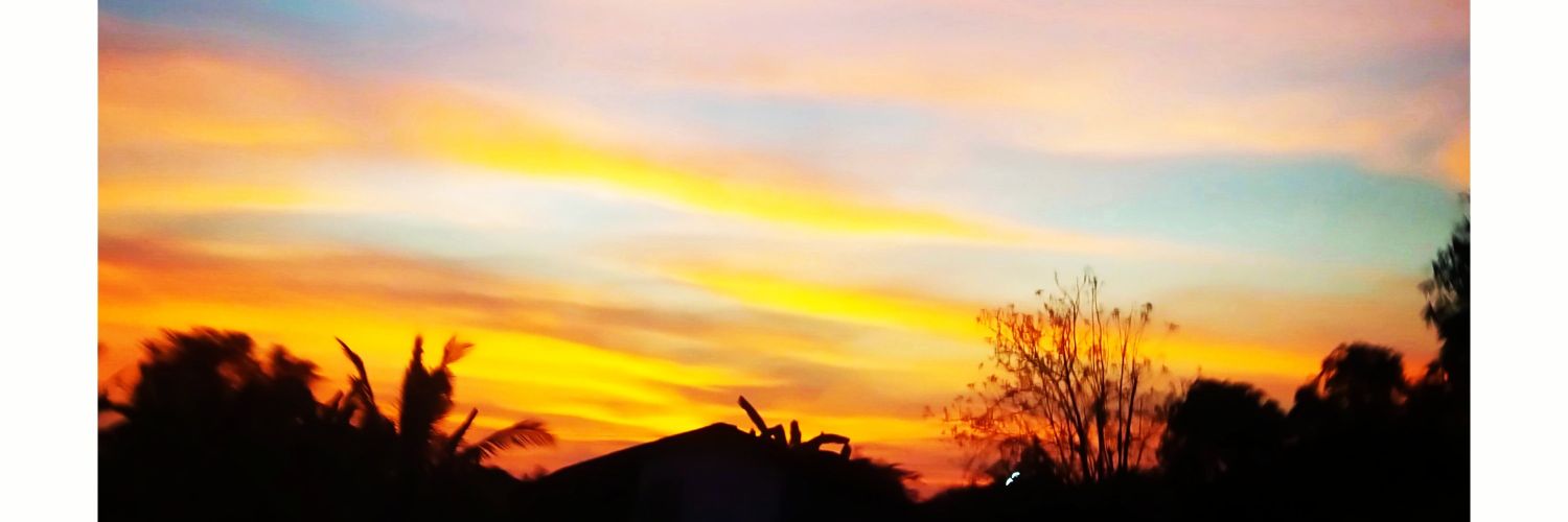 🕊️🕊️ banner