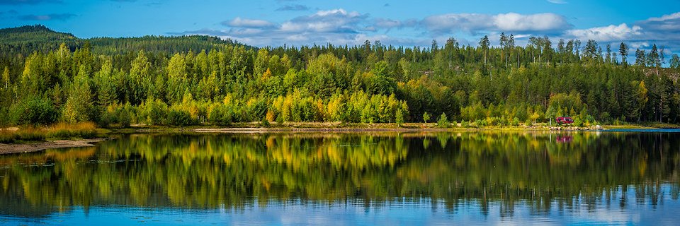 kenarild's profile banner image