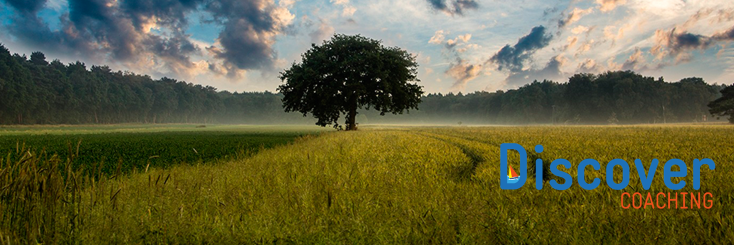 DiscoverC_'s profile banner image