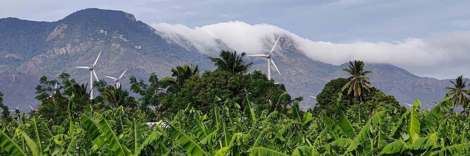 ಧರಣಿ ರೆಡ್ಡಿ banner