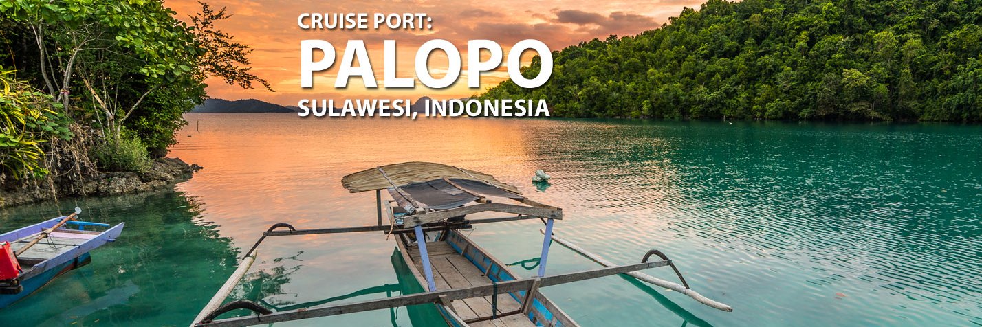 palopomedia's profile banner image