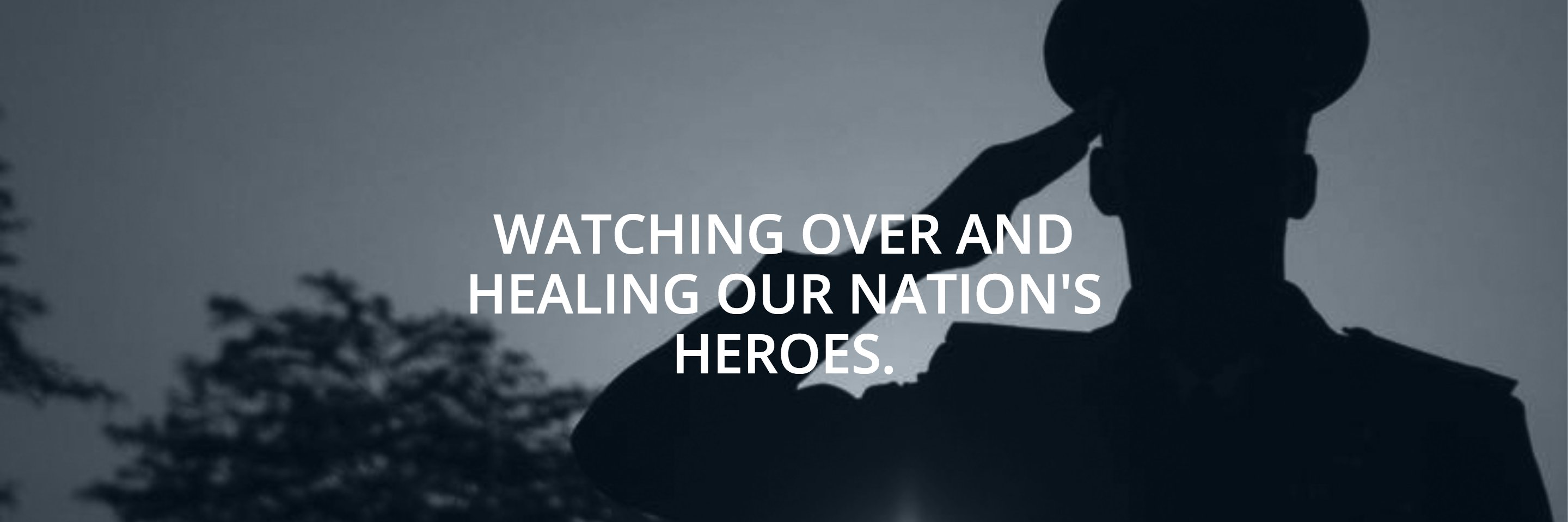 Overwatch Alliance banner