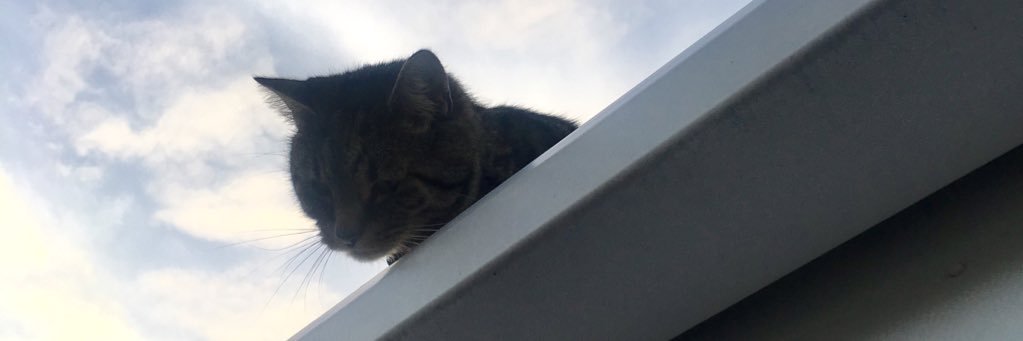 jxthmpsn's profile banner image