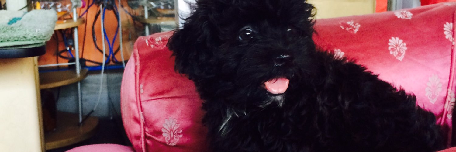 PortiaPot's profile banner image