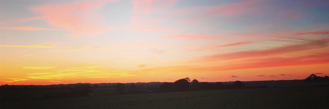 Emilyjsimons's profile banner image