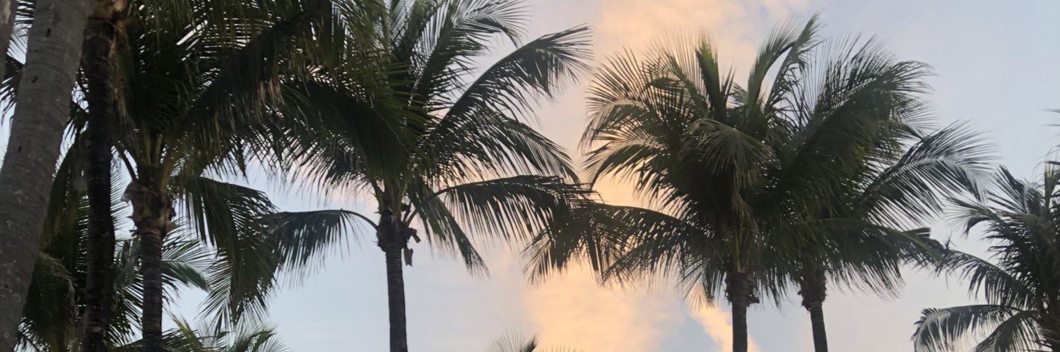 soccor1's profile banner image