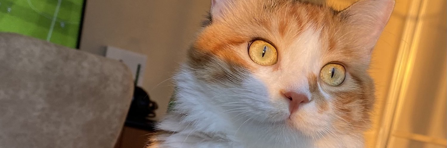 IbrahimKoca77's profile banner image