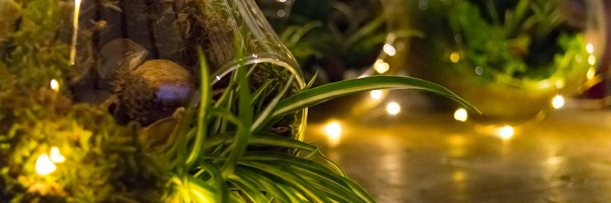 everbloomingsc's profile banner image