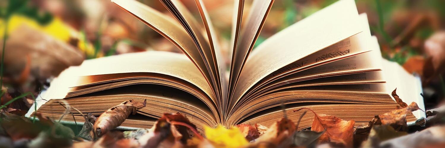 Fabbri Editori banner
