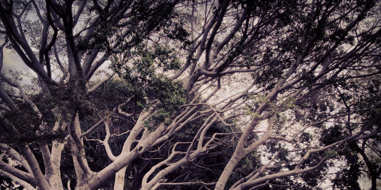 Phyxs's profile banner image