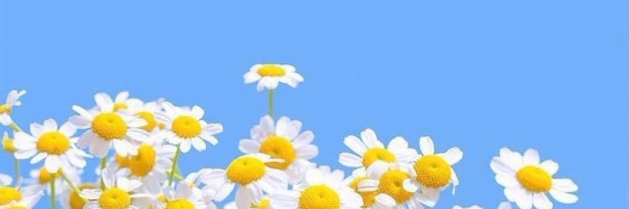 shhtephh's profile banner image