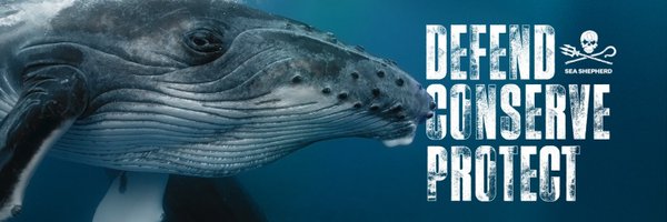 Sea Shepherd España banner