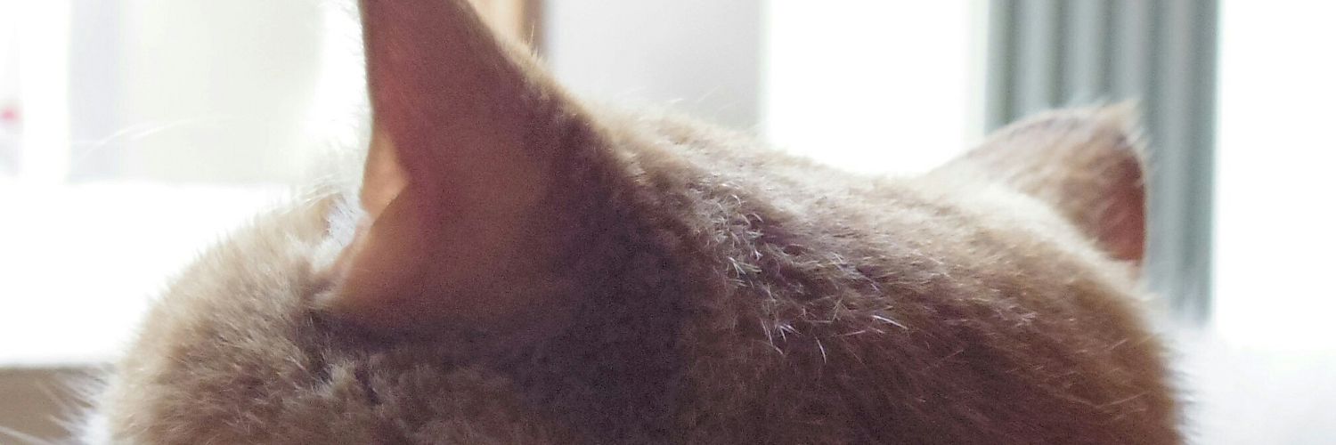 Masaru Takahashi banner