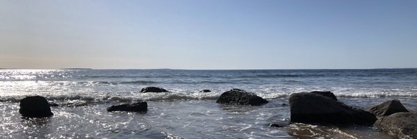 CatherineDunne Profile Banner