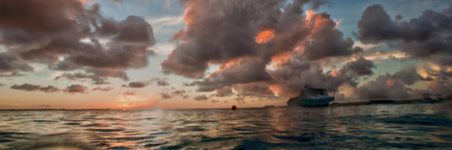 bartonvisions's profile banner image