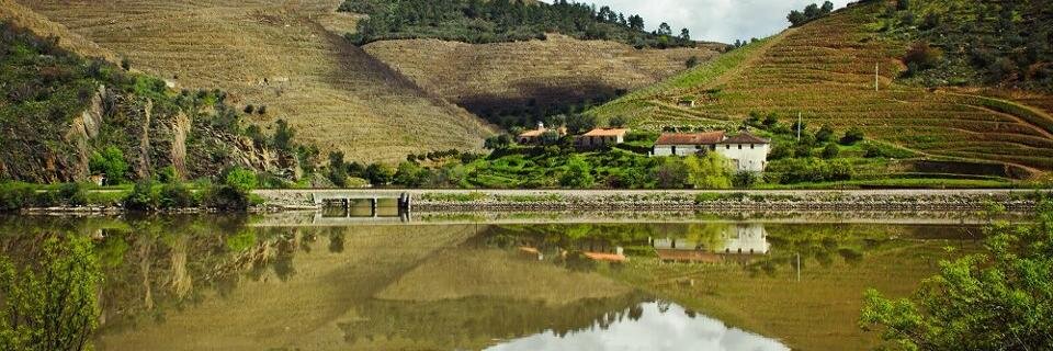 BulasWines's profile banner image