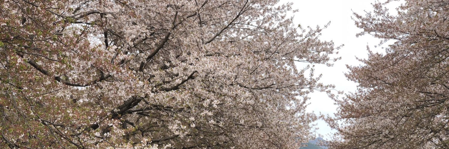 eds_april's profile banner image