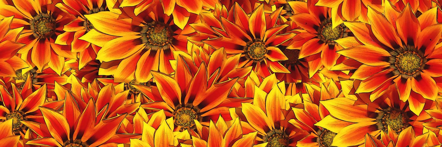 deenafla's profile banner image