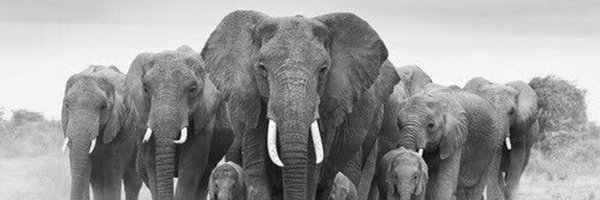 CalvinKalthoff Profile Banner