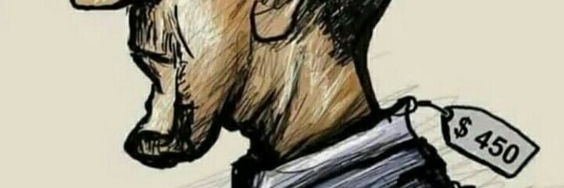naimhazmi's profile banner image