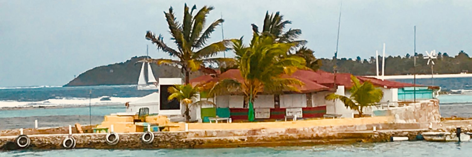 Londontiki's profile banner image