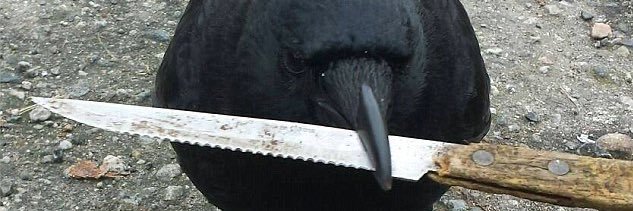 sbigoglyss's profile banner image