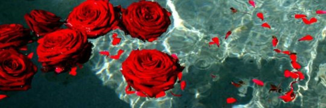 Ineednormality's profile banner image