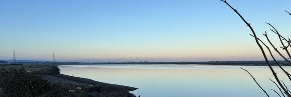 hariert Profile Banner