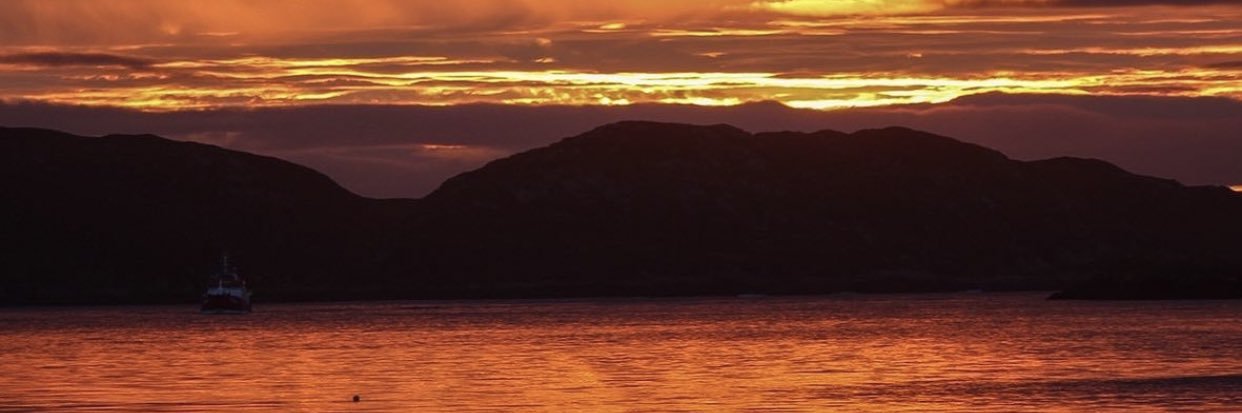 Sharkattackmatt's profile banner image