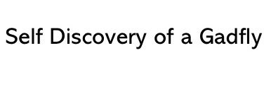 Sean McClintock banner