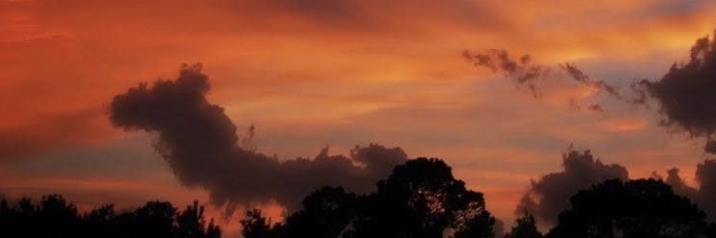 delenaaddicted9's profile banner image