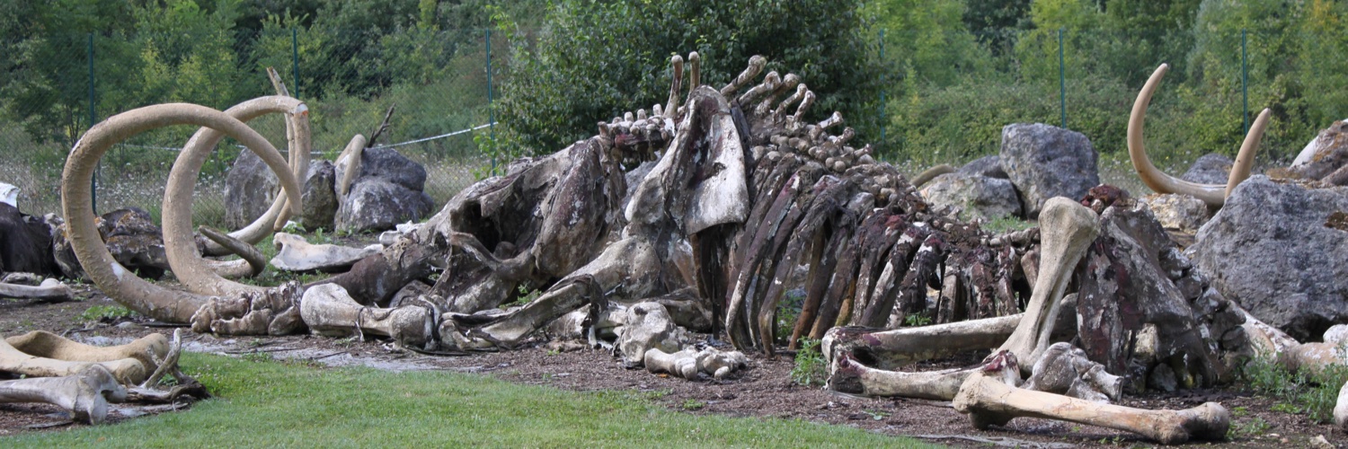 Brandi Cantarel (@bcantarel.bsky.social) banner