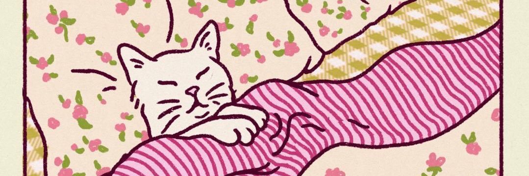 akusheilla's profile banner image